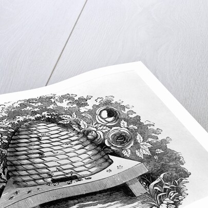 Woodcut Of A Beehive by Anonymous