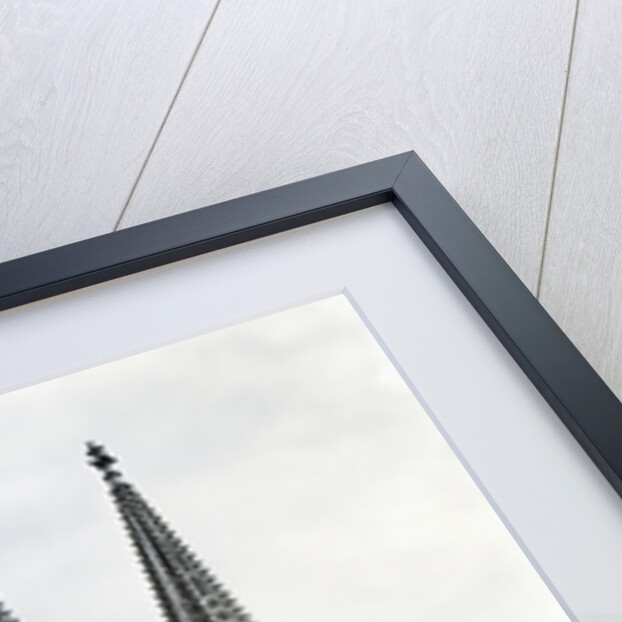Cologne Cathedral From Northwest by Anonymous