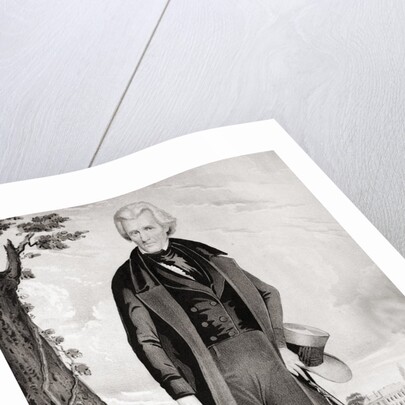 Portrait of Andrew Jackson in Retirement by Anonymous