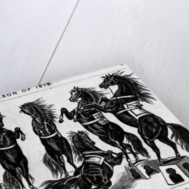 Horses Performing In Circus by Anonymous