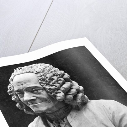 Bust Of Voltaire by Anonymous
