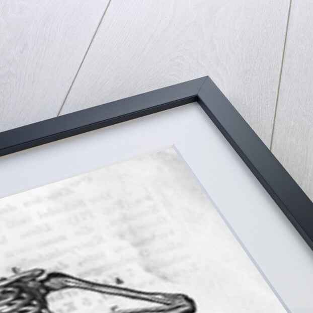 Human Body Skeleton by Anonymous