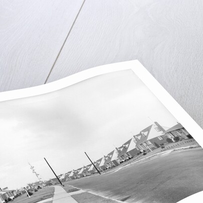 Houses In Levittown, Long Island by Anonymous