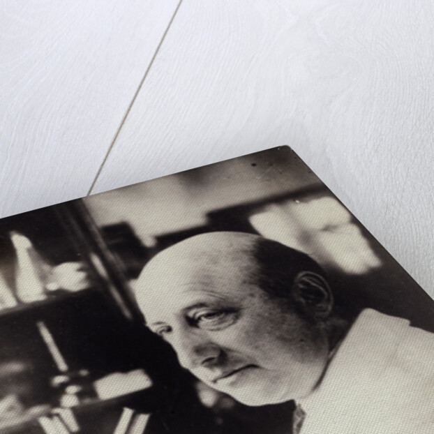 Portrait Of Dr. Richard Goldschmidt by Anonymous