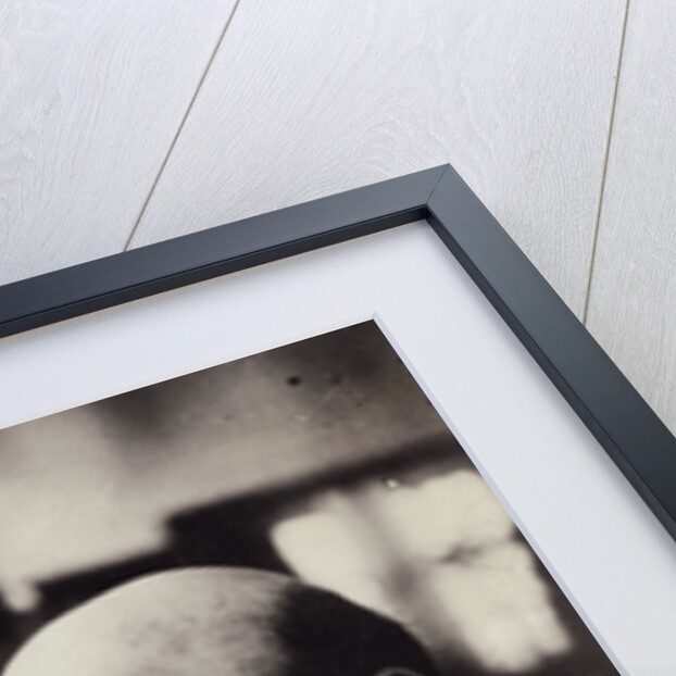 Portrait Of Dr. Richard Goldschmidt by Anonymous