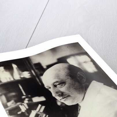 Portrait Of Dr. Richard Goldschmidt by Anonymous