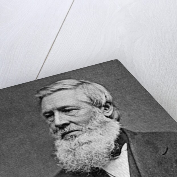Asa Gray American Botonist by Anonymous