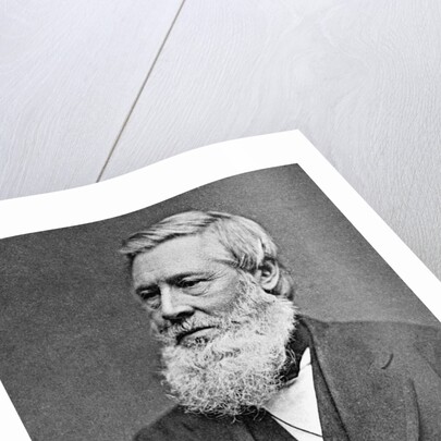 Asa Gray American Botonist by Anonymous