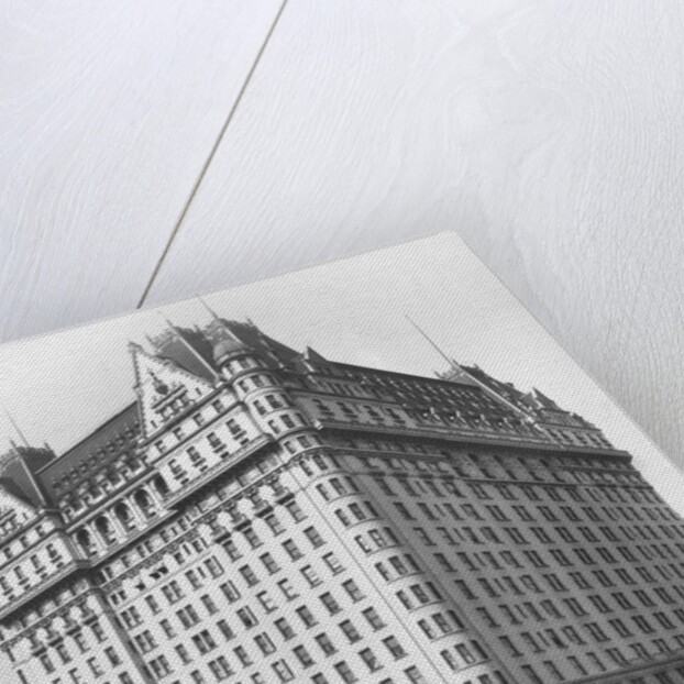 Plaza Hotel by Anonymous
