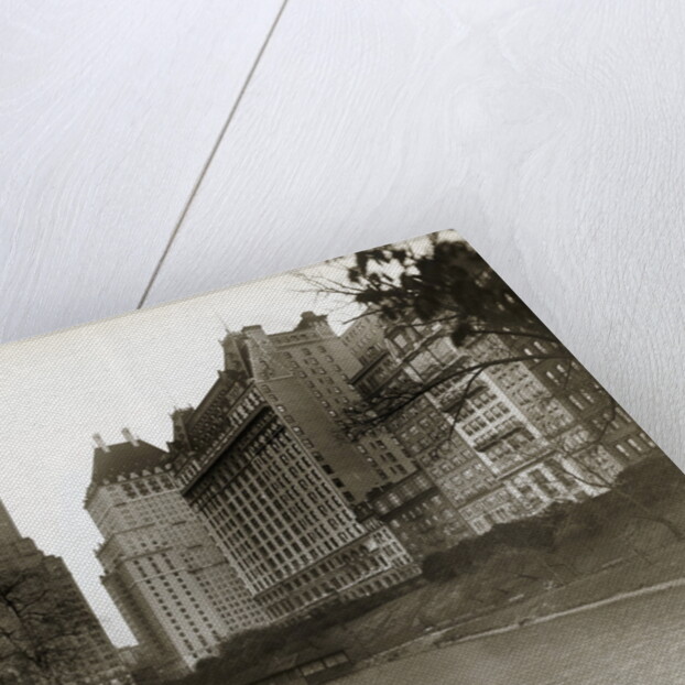 Plaza Hotel as Seen from Central Park by Anonymous