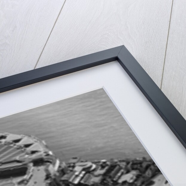 General View Of Chicago Worlds Fair 1954 by Anonymous