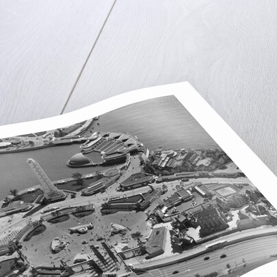 General View Of Chicago Worlds Fair 1954 by Anonymous