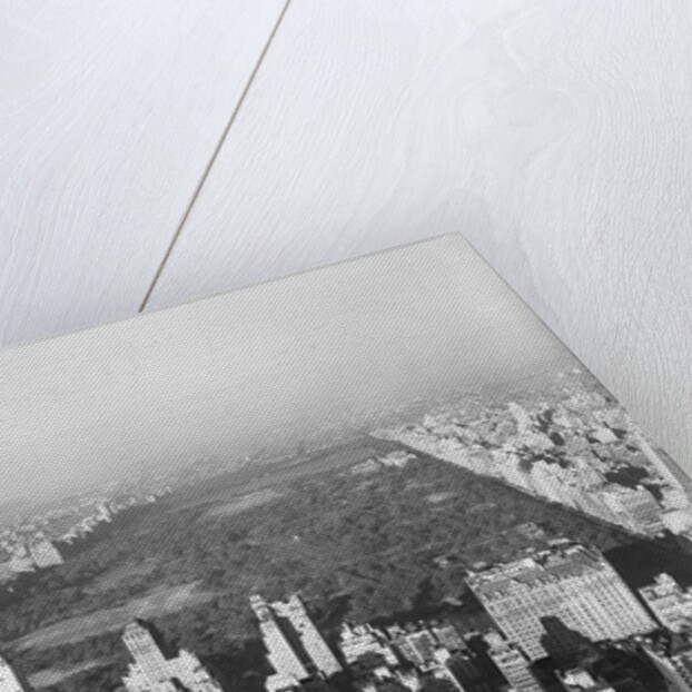 Aerial View of Central Park by Anonymous