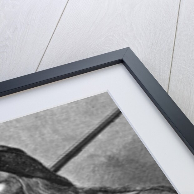 Illustration of the American Trapper by Anonymous