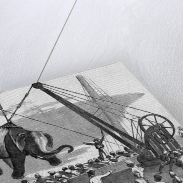 Unloading Elephants From Ship; Illustrat by Anonymous