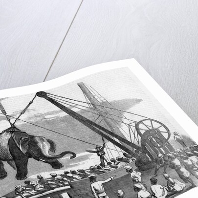 Unloading Elephants From Ship; Illustrat by Anonymous