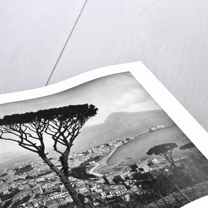 Panoramic Aerial View Of Naples by Anonymous