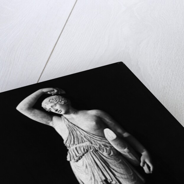 Amazon Statue In Vatican Museum by Anonymous