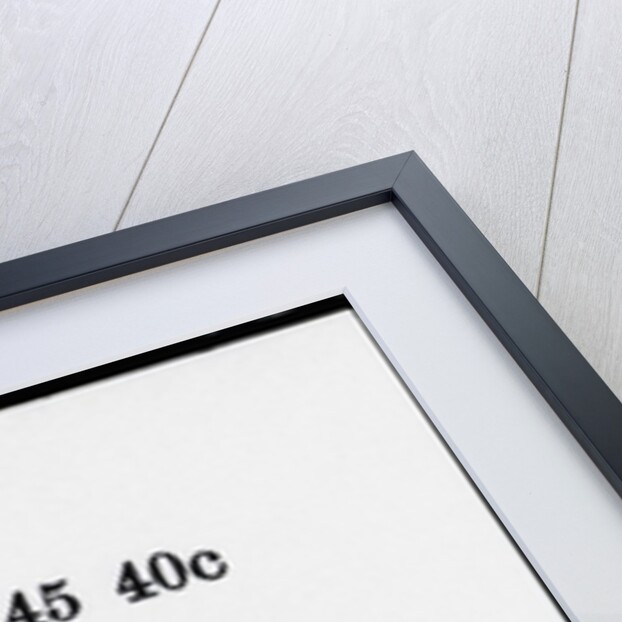 Illustration Of A Jester by Anonymous