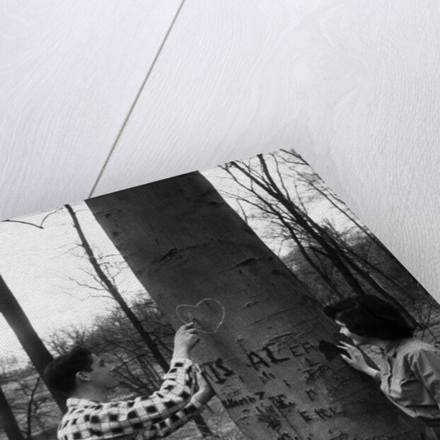 Teenagers Carving Initials on a Tree by Anonymous