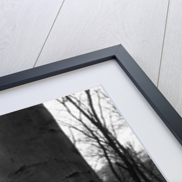 Teenagers Carving Initials on a Tree by Anonymous