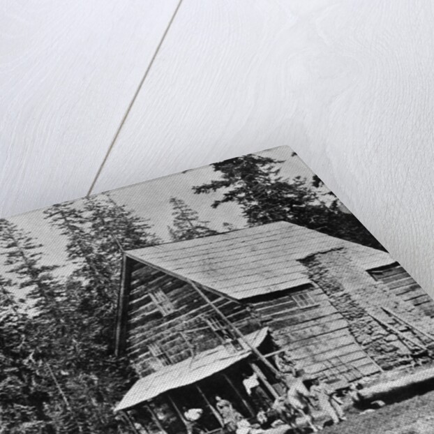 Log Cabin In Woods Used As Hotel by Anonymous