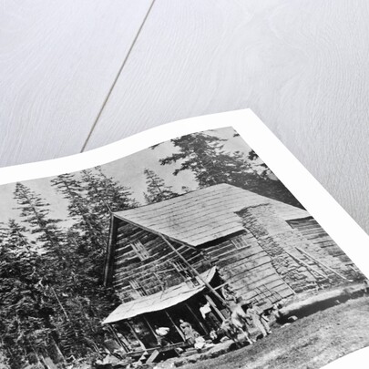 Log Cabin In Woods Used As Hotel by Anonymous
