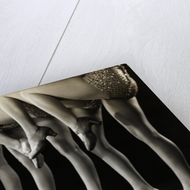 Chorus Girls' Legs by Anonymous