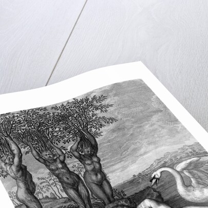 Engraving Of Scene From "Metamorphoses" by Anonymous