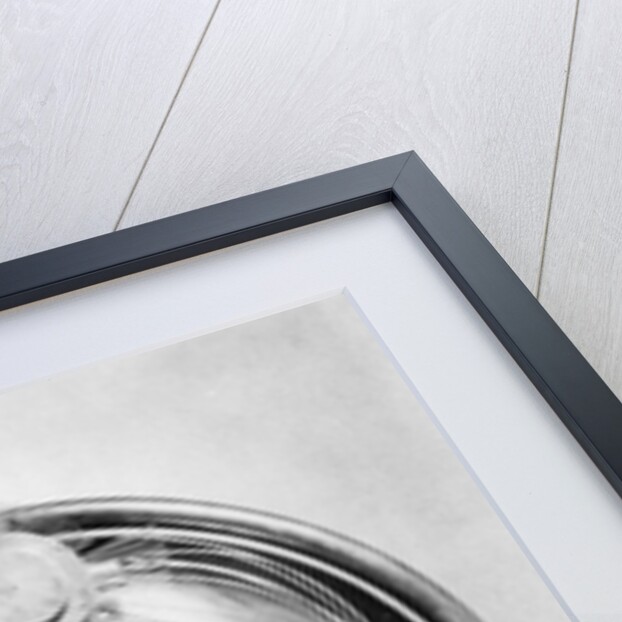 Perpetual Motion Machine by Anonymous