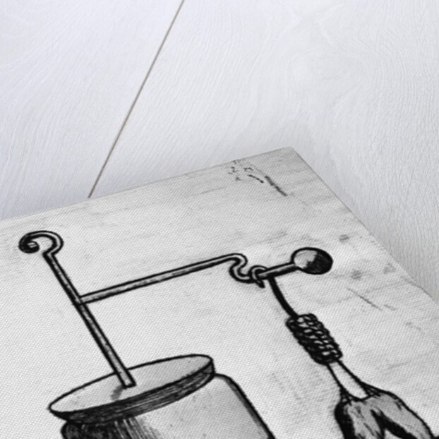 Frog Legs Connected To Electrical Feed by Anonymous