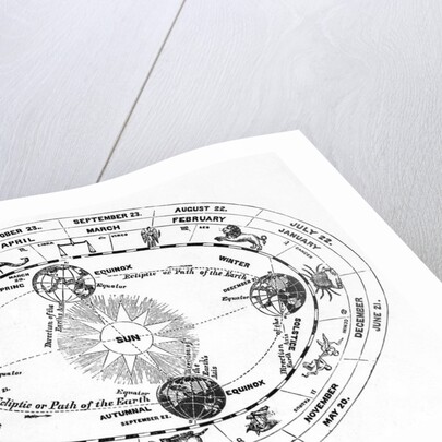 Zodiac W/ Seasons & Equinoxes; Woodcut by Anonymous