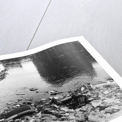 Passaic River W/Debris On Its Bank;Pollu by Anonymous