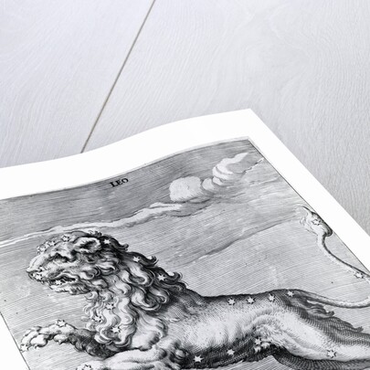 Engraving Of The Lion; Constellation by Anonymous