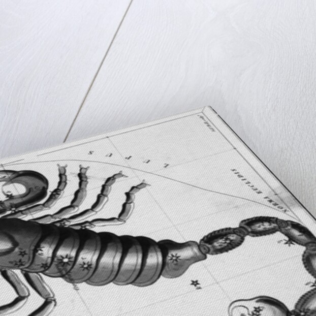 Scorpio Constellation Illustrated on Star Map by Anonymous