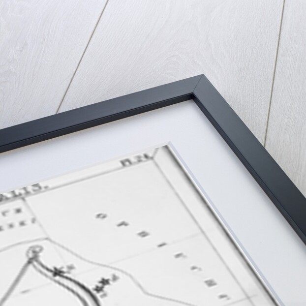 Sagittarius & Other Constellations by Anonymous