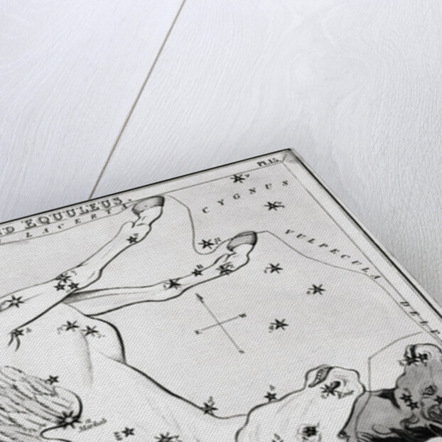 Constellations Pegasus & Equuleus by Anonymous