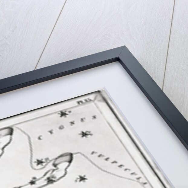 Constellations Pegasus & Equuleus by Anonymous