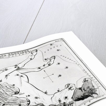 Constellations Pegasus & Equuleus by Anonymous