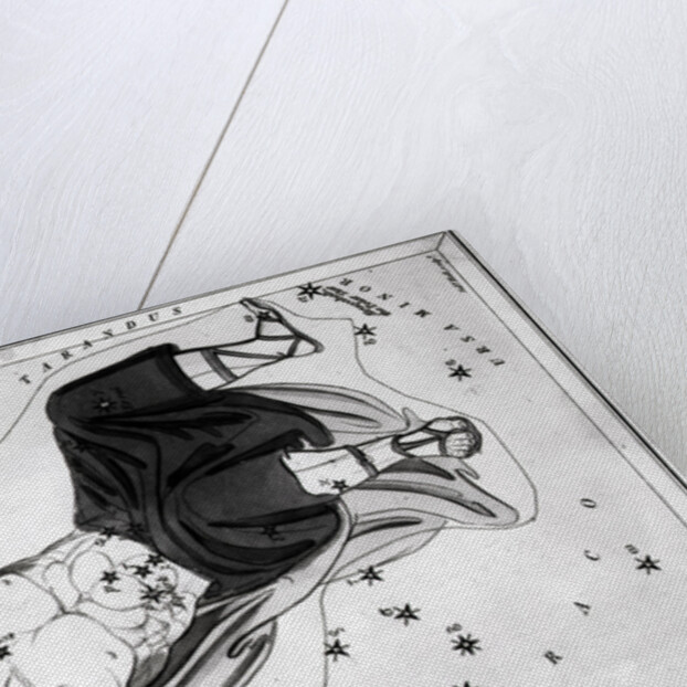 Engraving Of Cepheus Constellation by Anonymous