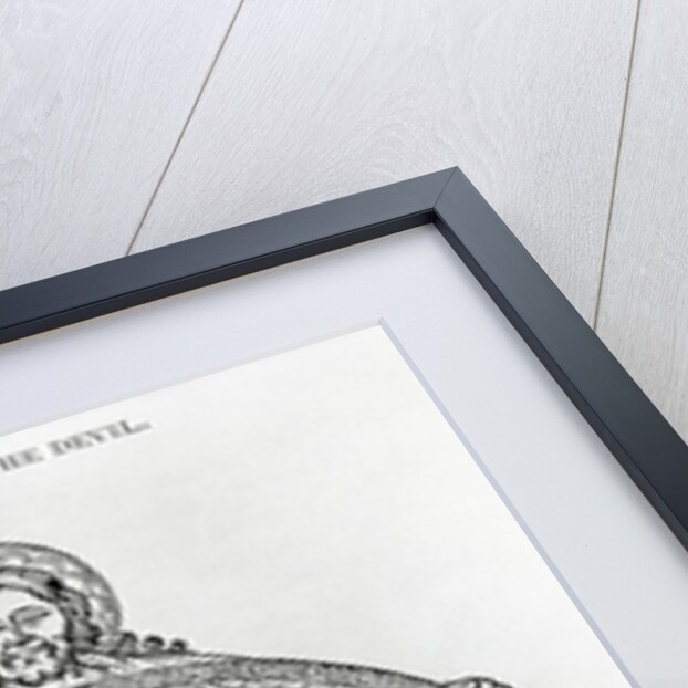 God Figure Holding Disc-Shaped World by Anonymous