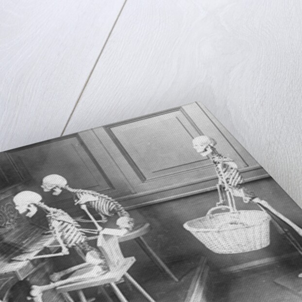 Skeletons Shown Playing Piano, Etc by Corbis