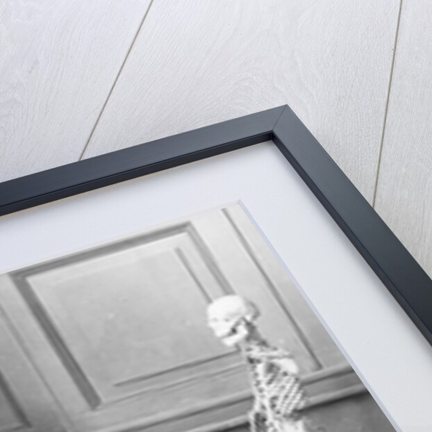 Skeletons Shown Playing Piano, Etc by Anonymous