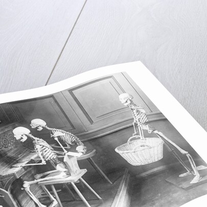 Skeletons Shown Playing Piano, Etc by Corbis