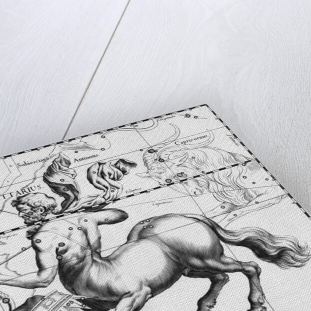 Engraving Of Constellation Sagittarius by Anonymous