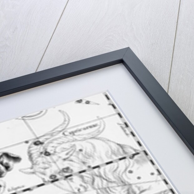 Engraving Of Constellation Sagittarius by Anonymous