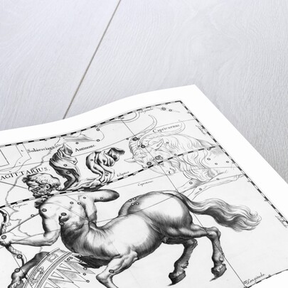 Engraving Of Constellation Sagittarius by Anonymous