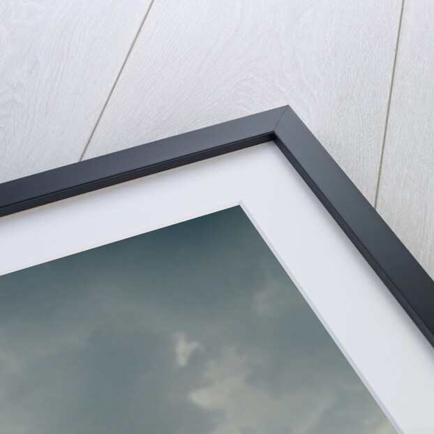 A Tornado in Denver by Anonymous