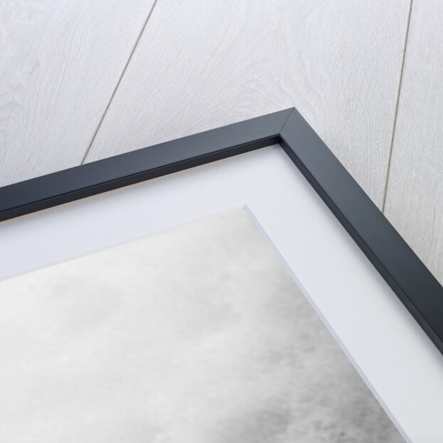 A Beachfront Hotel During Hurricane Dora by Anonymous