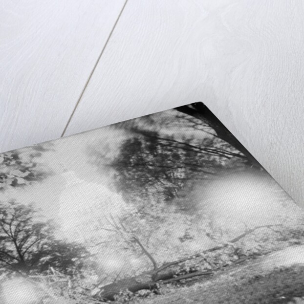 Capitol Building and Lawn After Hurricane by Anonymous